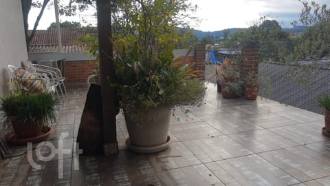 Image 17 - 248348